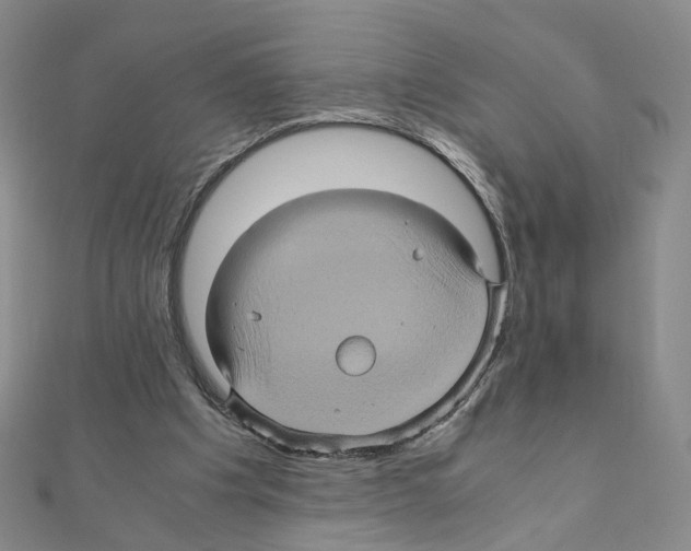 X0000110990201200907311017