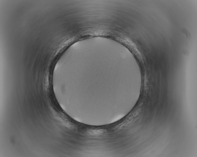 X0000110990202200907311017