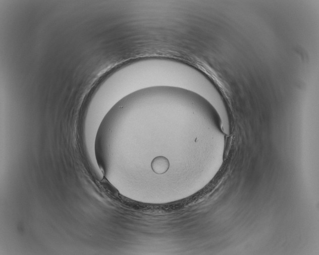 X0000110990203200907311017