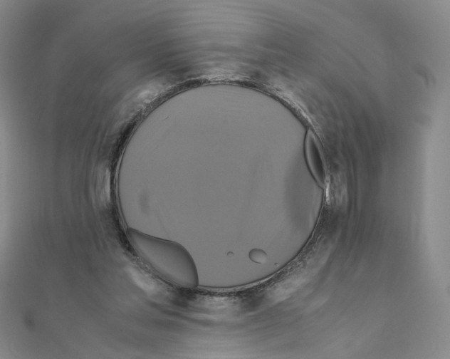 X0000110990205200907311017