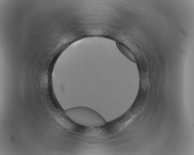 X0000110990207200907311017