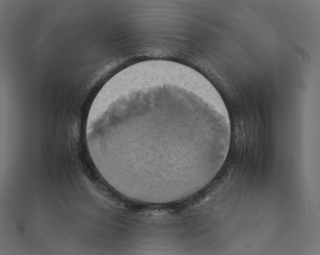 X0000110990208200907311017