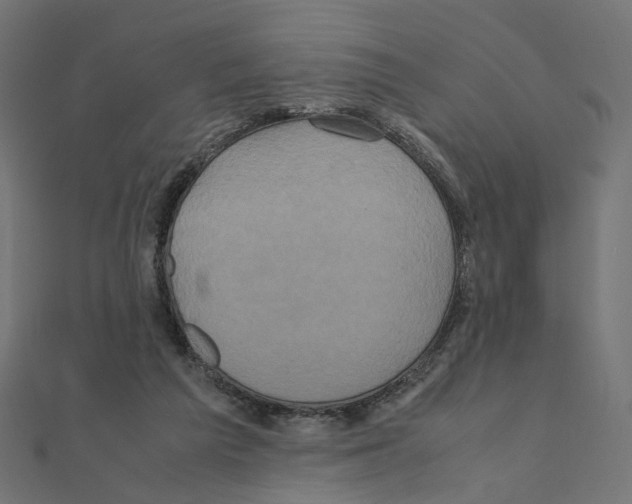 X0000110990209200907311017
