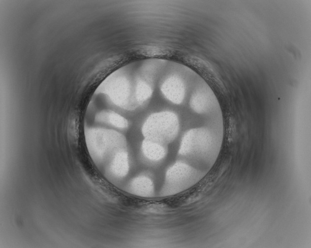 X0000110990210200907311017