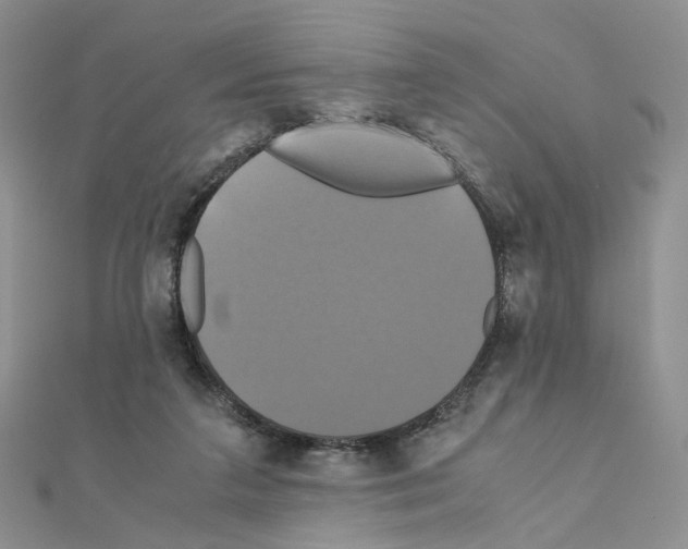 X0000110990211200907311017
