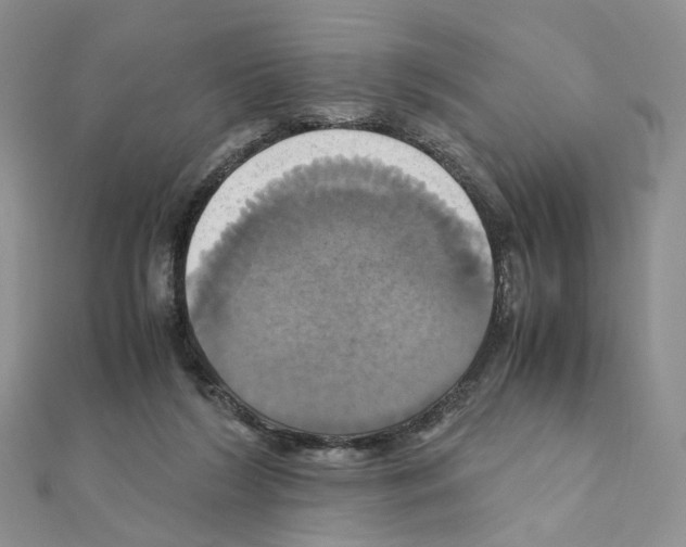 X0000110990212200907311017