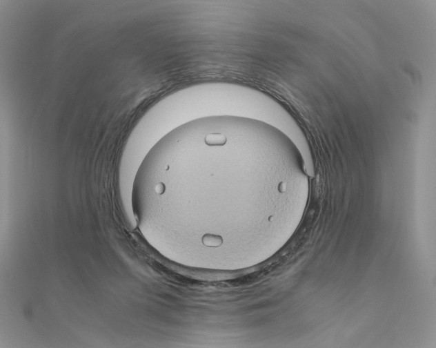 X0000110990215200907311017