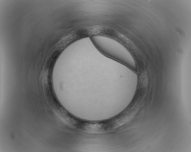 X0000110990217200907311017