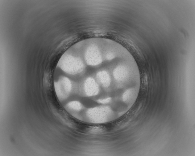 X0000110990218200907311017