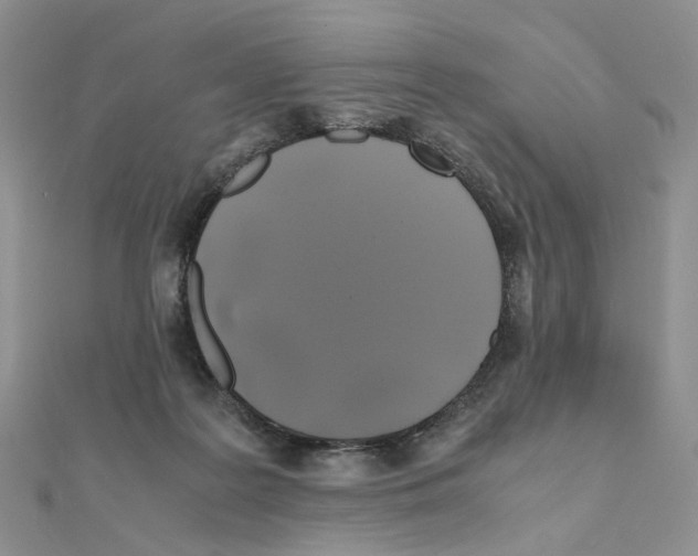 X0000110990219200907311017