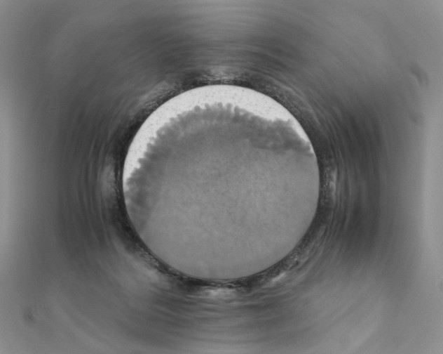 X0000110990220200907311017