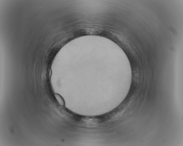X0000110990221200907311017