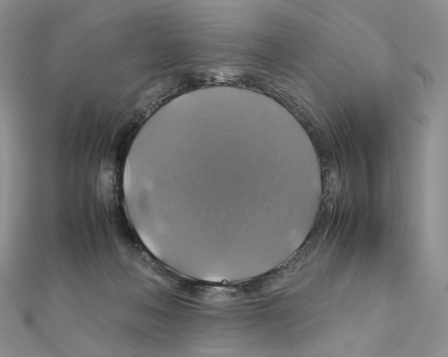 X0000110990222200907311017