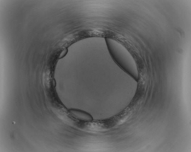 X0000110990223200907311017