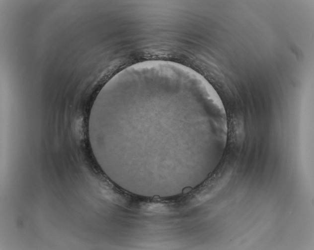 X0000110990224200907311017