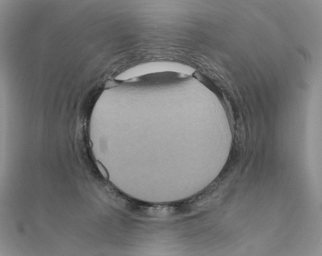 X0000110990225200907311017