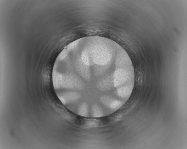 X0000110990226200907311017