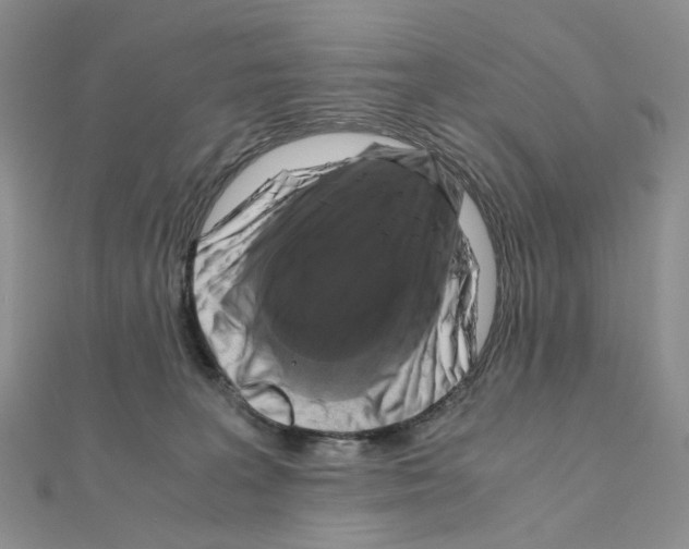 X0000110990227200907311017
