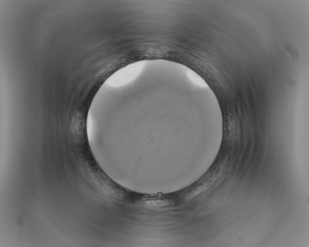 X0000110990228200907311016