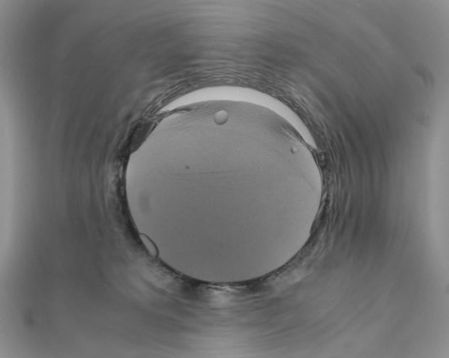 X0000110990229200907311016