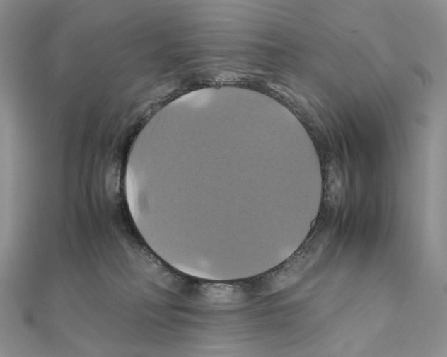 X0000110990230200907311016