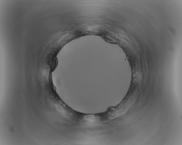 X0000110990231200907311016