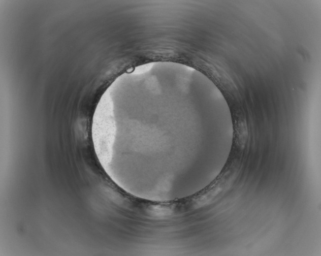 X0000110990232200907311016