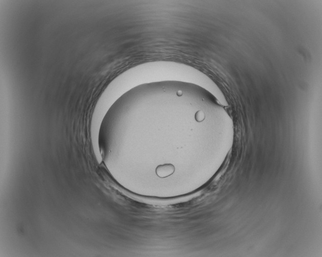 X0000110990233200907311016