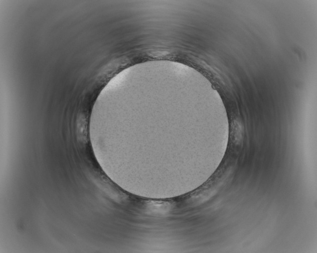 X0000110990234200907311016