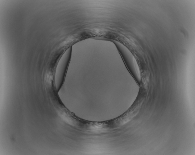X0000110990235200907311016