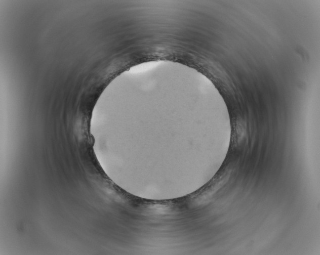 X0000110990236200907311016