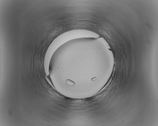 X0000110990237200907311016