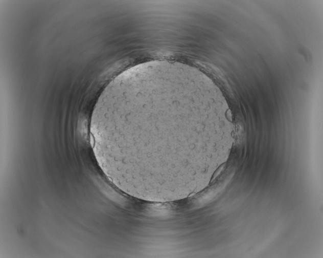 X0000110990238200907311016