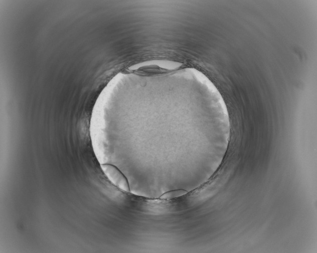 X0000110990240200907311016