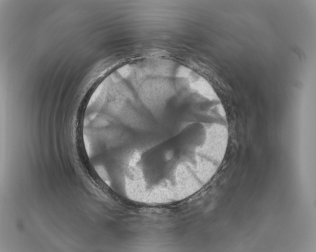 X0000110990242200907311016