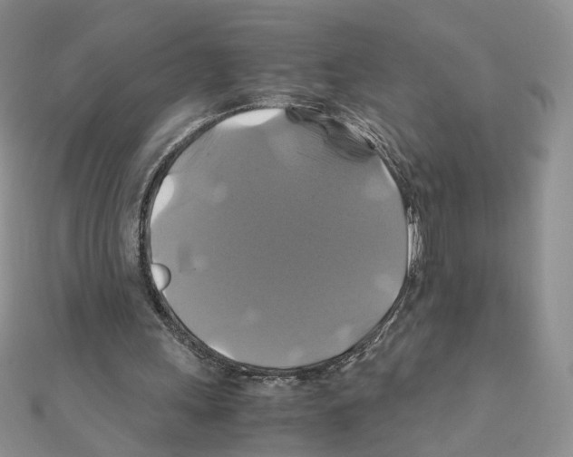 X0000110990243200907311016