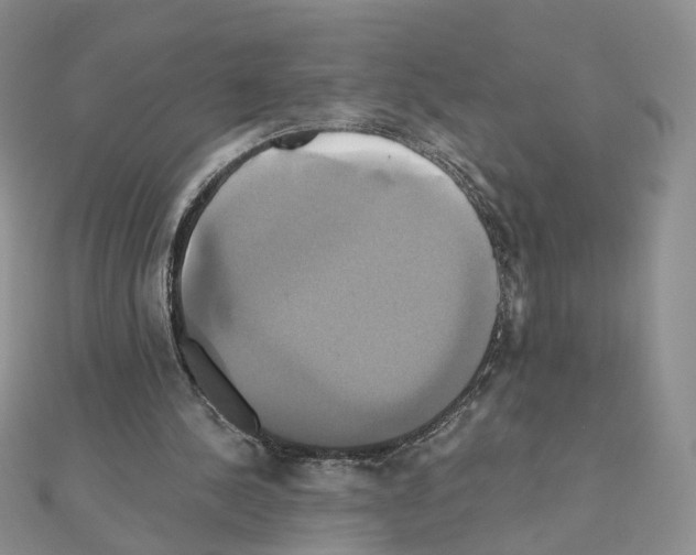 X0000110990244200907311016