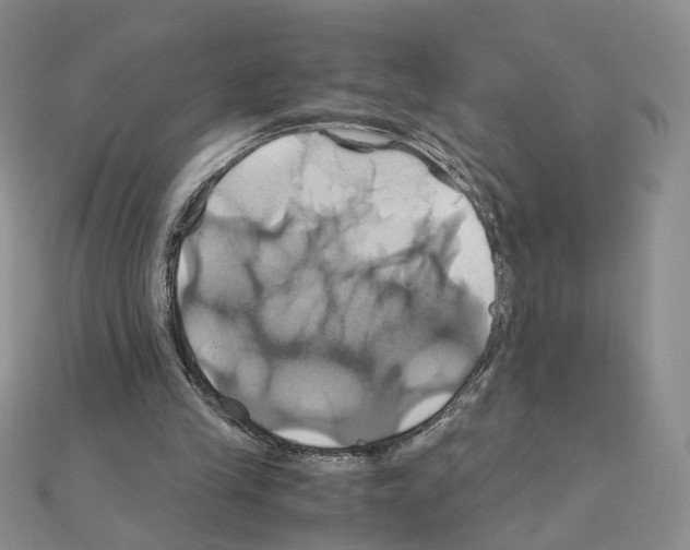 X0000110990245200907311016
