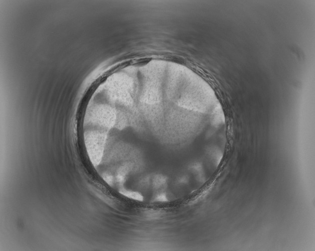X0000110990246200907311016