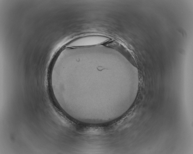 X0000110990248200907311016