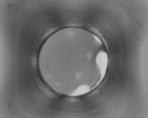 X0000110990249200907311016