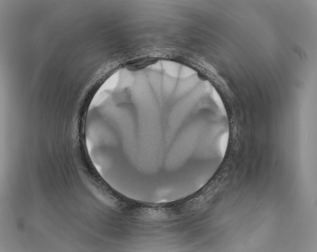 X0000110990250200907311016