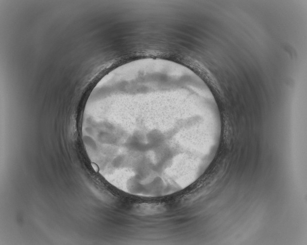 X0000110990251200907311016