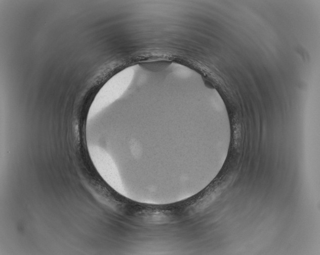 X0000110990254200907311016