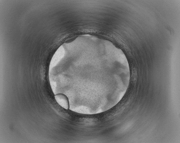 X0000110990255200907311016