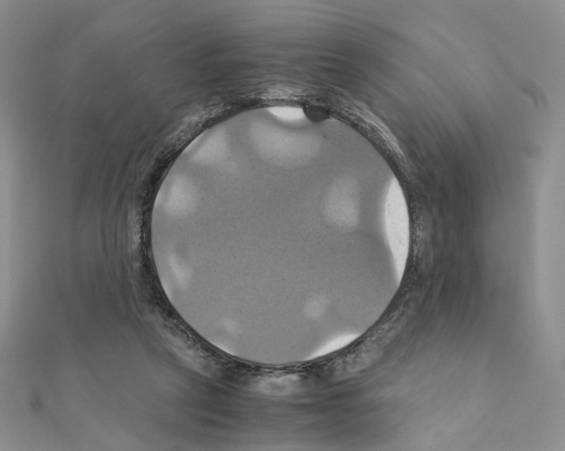 X0000110990257200907311016