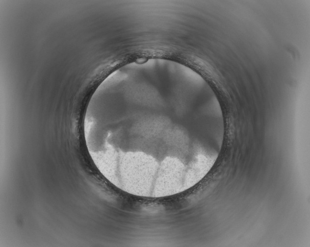 X0000110990258200907311016