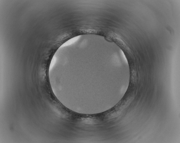 X0000110990259200907311016