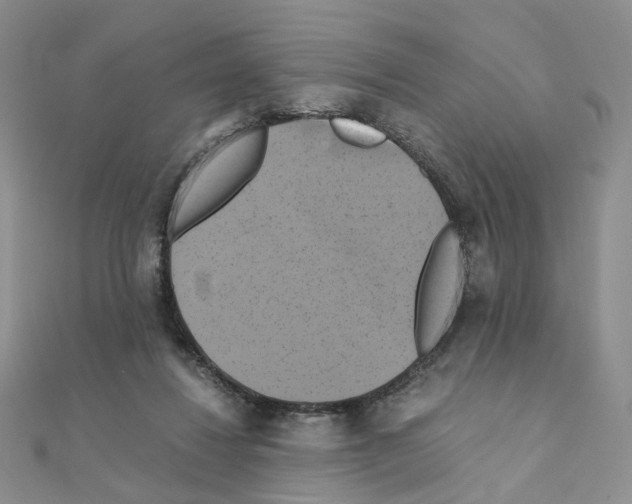 X0000110990260200907311016