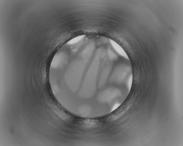 X0000110990261200907311016